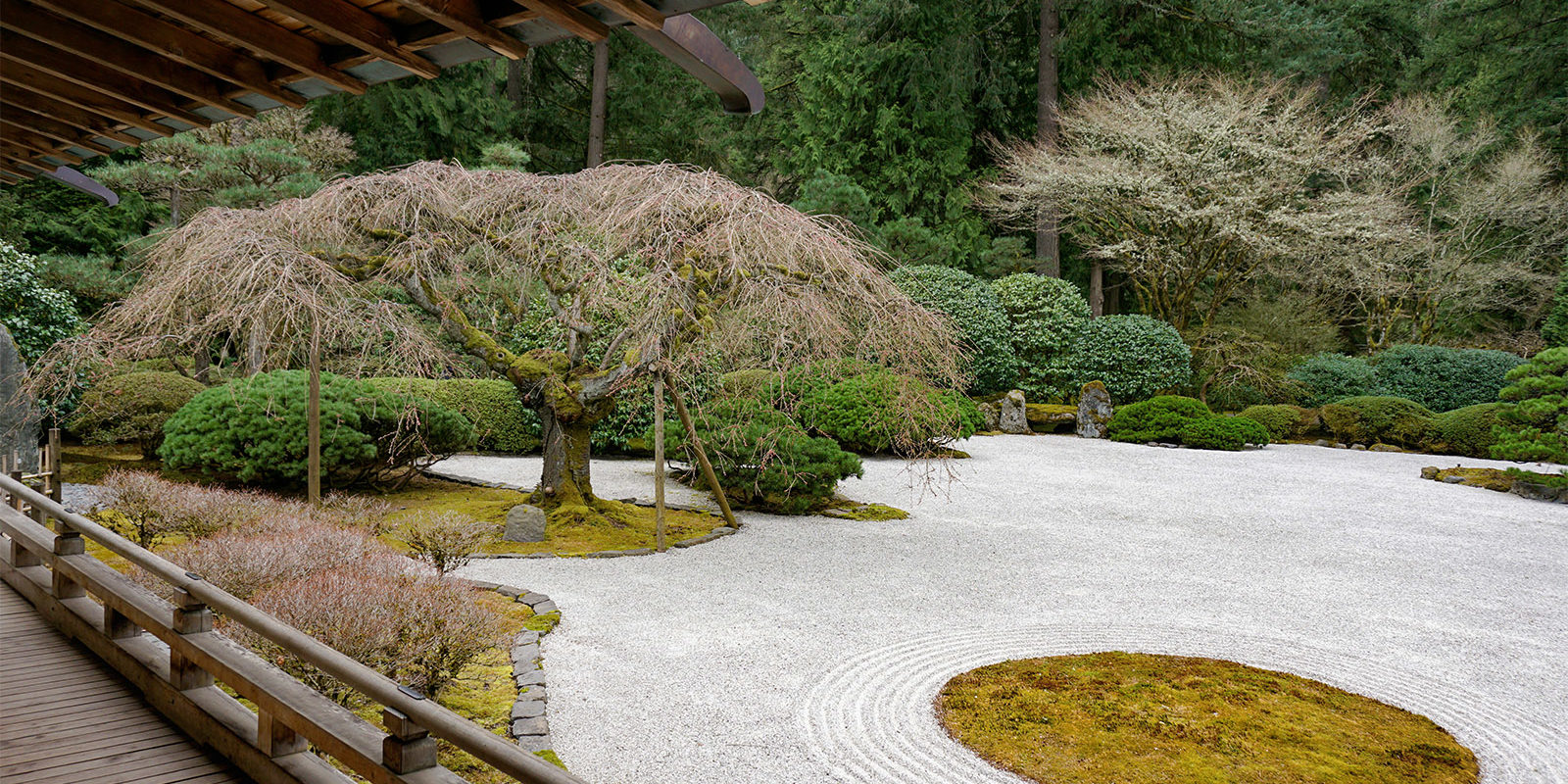 Portland Japanese Garden -Cherry Blossom Spring Watch - 3.21 - DSC02398