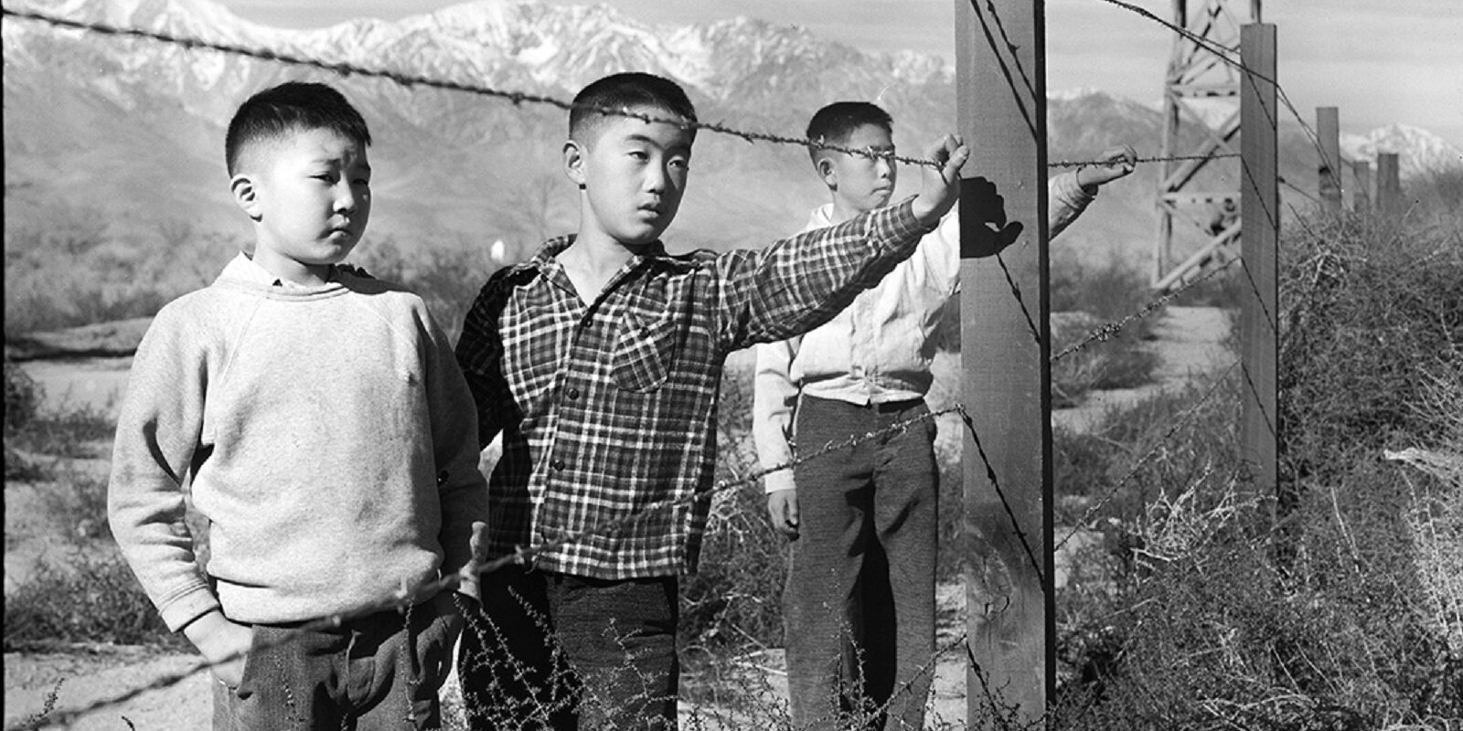 The Three Boys Behind Barbed Wire (Year unknown)