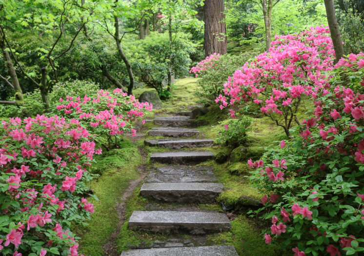 Stone staircase leading you through the Portland Japanese Garden